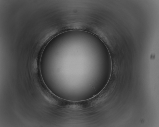 X0000096630251200802121053