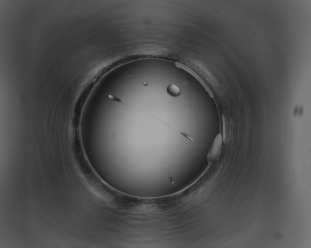 X0000096630252200802121053