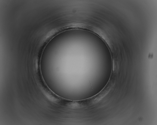 X0000096630253200802121053