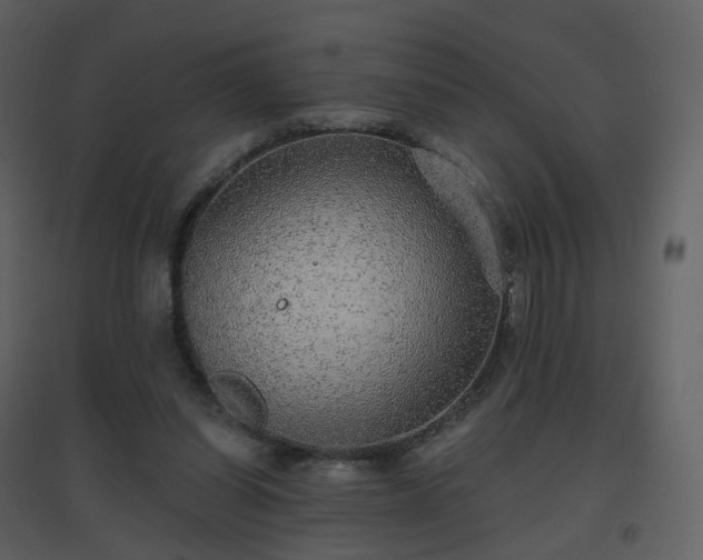 X0000096630254200802121053