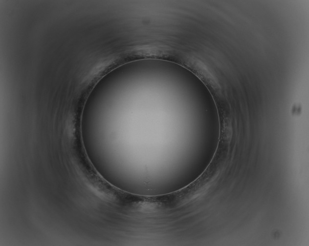 X0000096630255200802121053