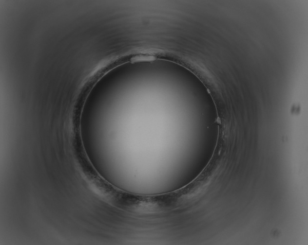 X0000096630256200802121054