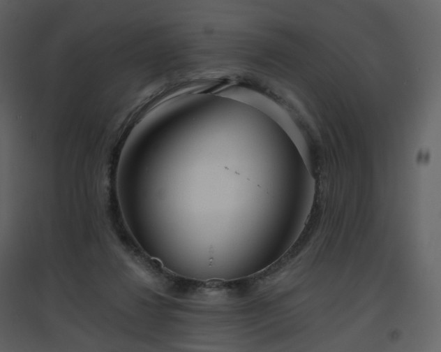 X0000096630260200802121054