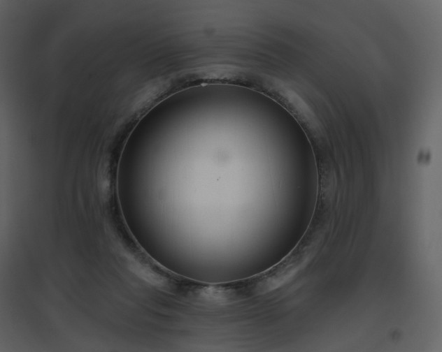 X0000096630261200802121054