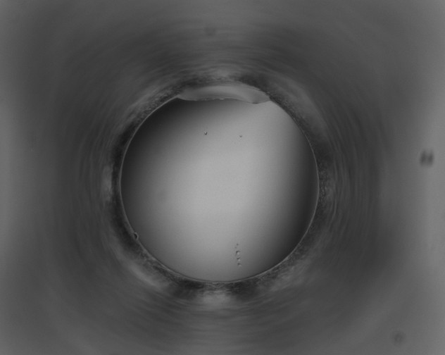 X0000096630262200802121054