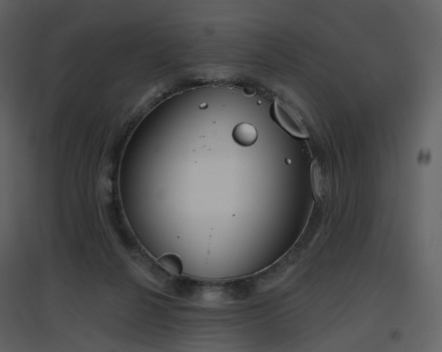 X0000096630264200802121054