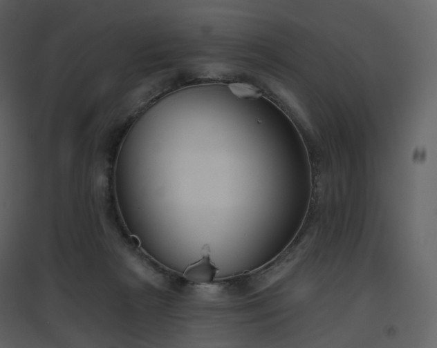 X0000096630265200802121054