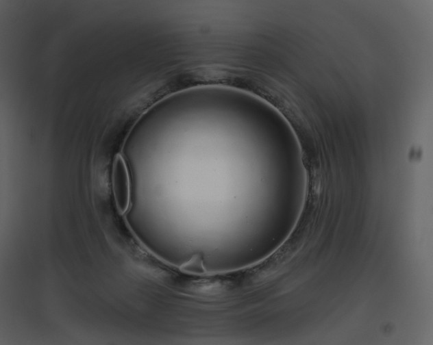 X0000096630267200802121054