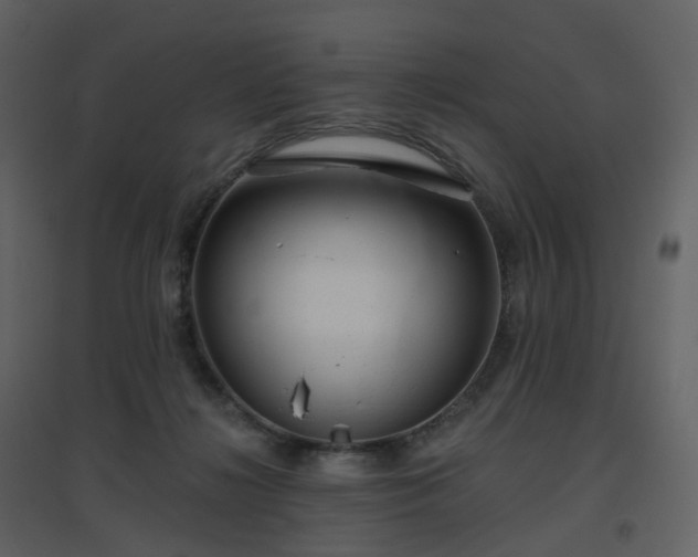 X0000096630268200802121054