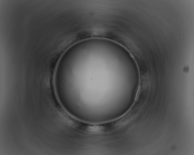 X0000096630269200802121054