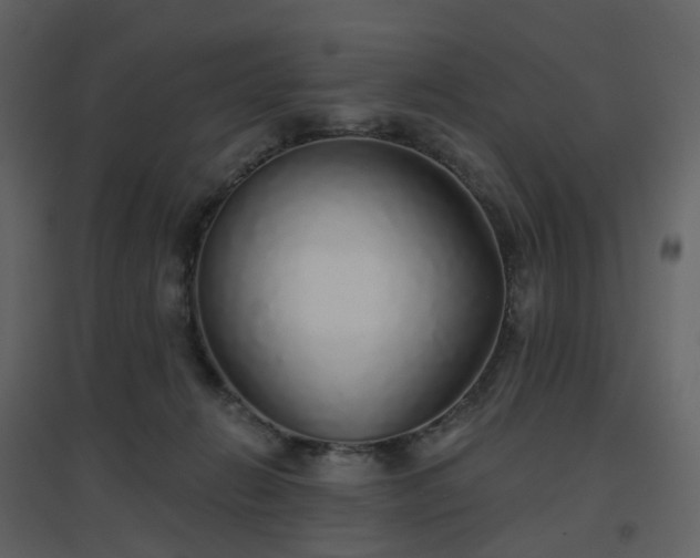X0000096630270200802121054