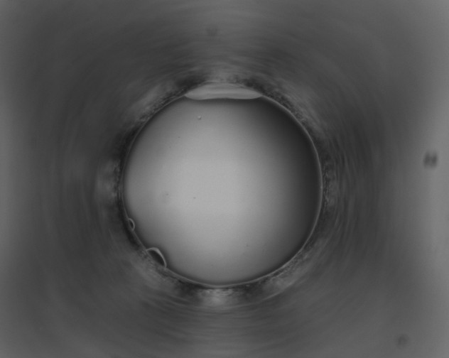 X0000096630273200802121054