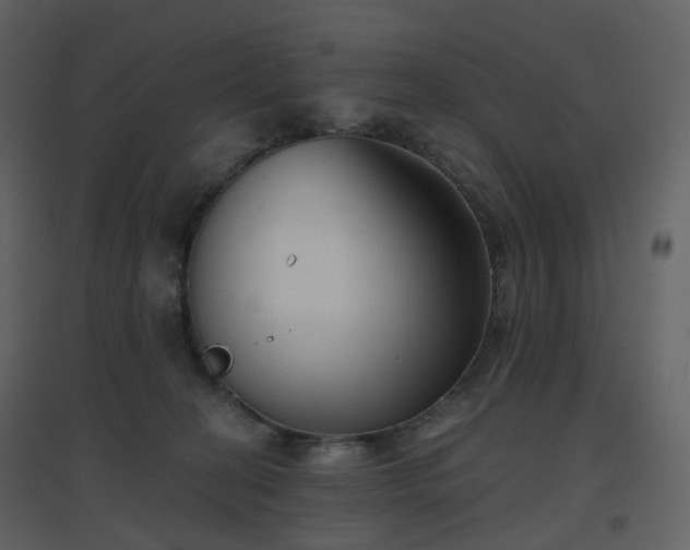 X0000096630274200802121054