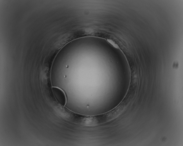 X0000096630275200802121054