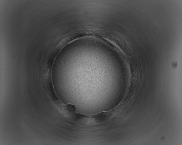 X0000096630276200802121054