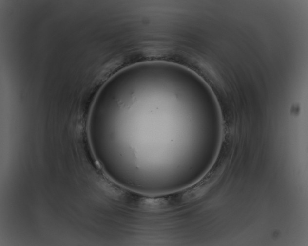 X0000096630277200802121054