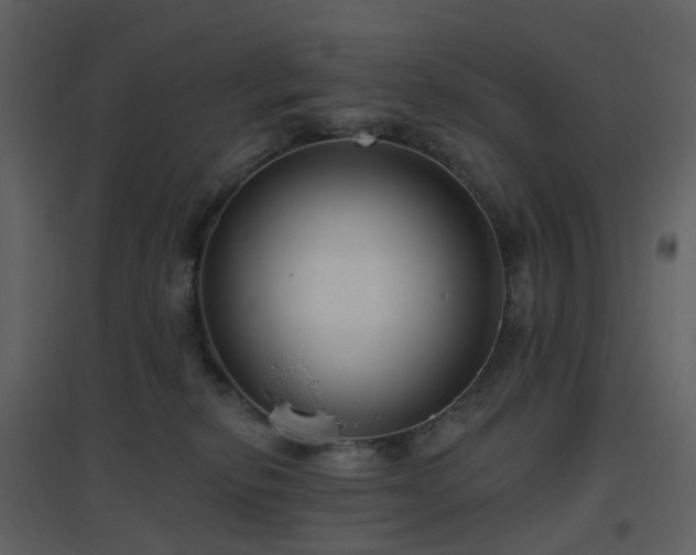 X0000096630278200802121054