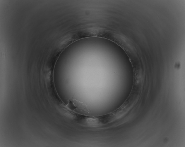X0000096630279200802121054