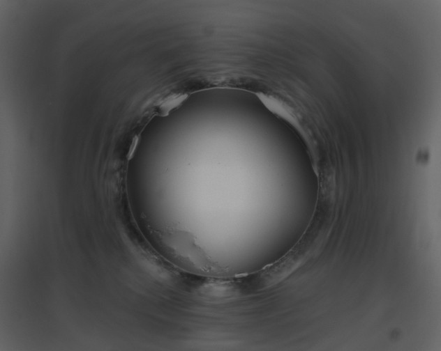 X0000096630280200802121054