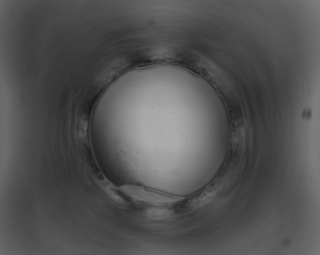 X0000096630281200802121054