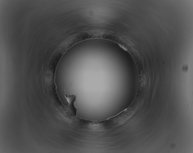X0000096630283200802121054