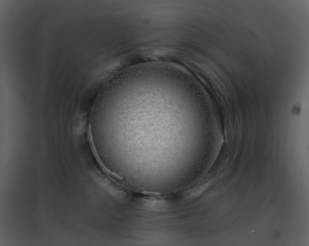 X0000096630284200802121054