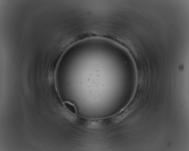 X0000096630285200802121054