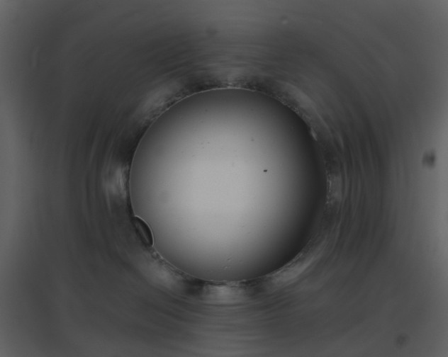 X0000096630286200802121054