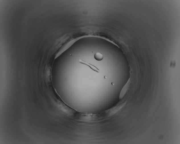 X0000096630288200802121054