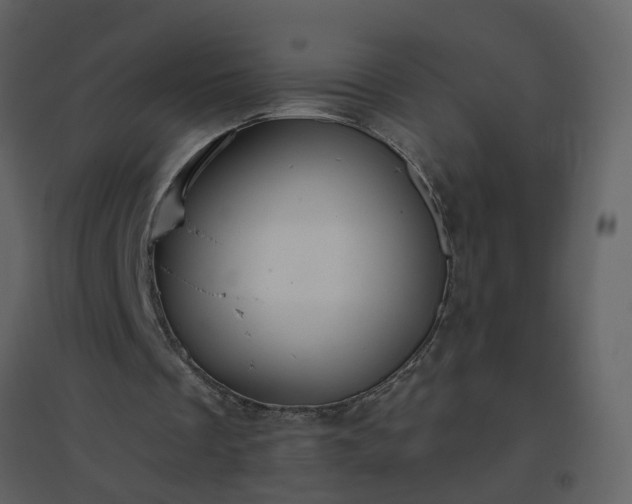 X0000096630289200802121053