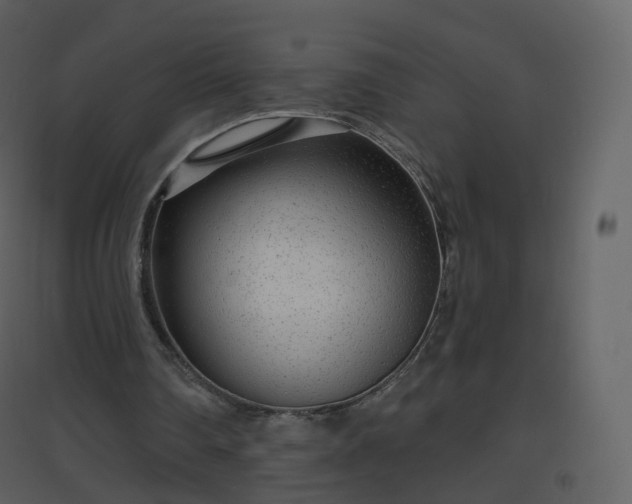X0000096630290200802121053
