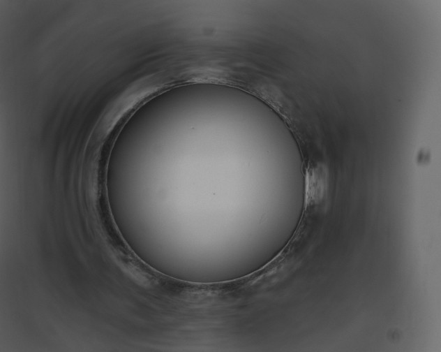 X0000096630291200802121053