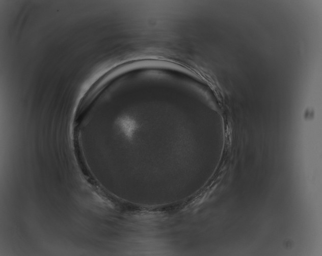 X0000096630292200802121053
