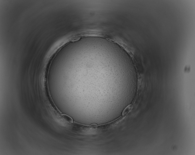 X0000096630293200802121053