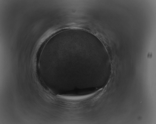X0000096630295200802121053