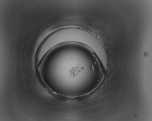 X0000096630296200802121053