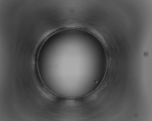 X0000096630298200802121053