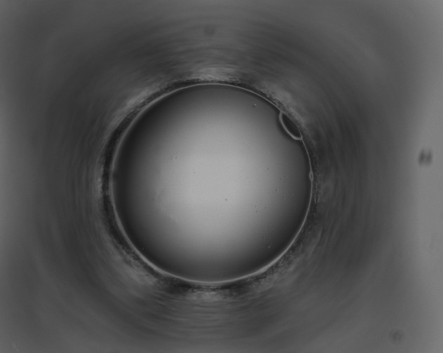 X0000096630299200802121053