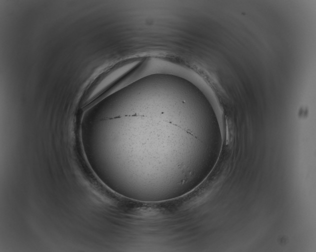 X0000096630300200802121053