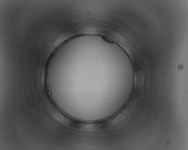 X0000096630301200802121053