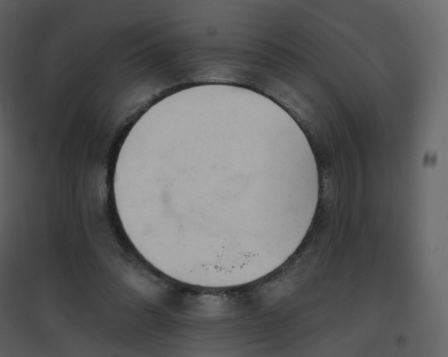 X0000096630302200802121053