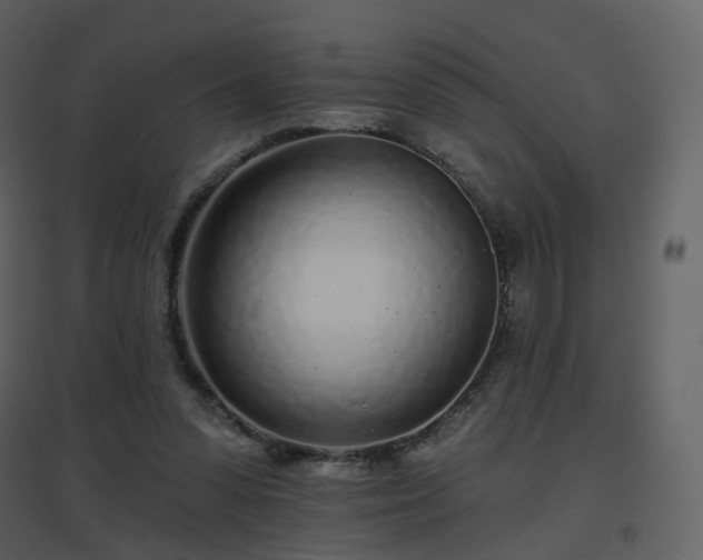 X0000096630303200802121053