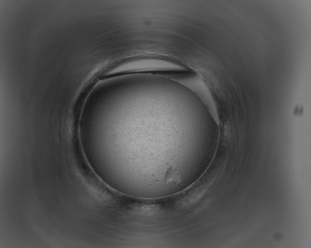 X0000096630304200802121053
