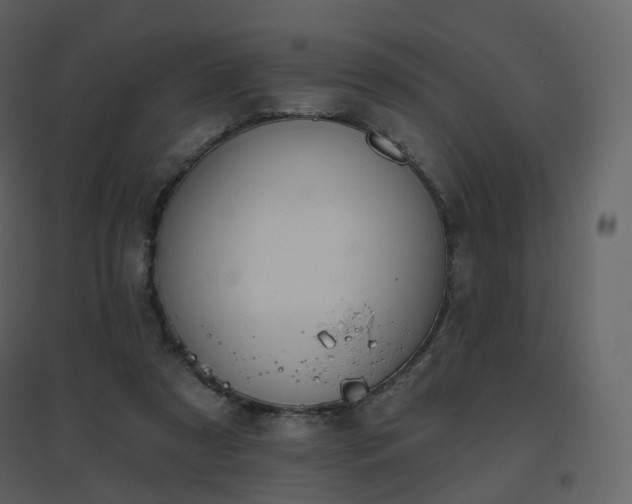 X0000096630305200802121053