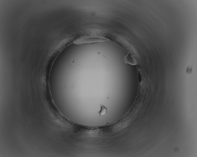 X0000096630306200802121053