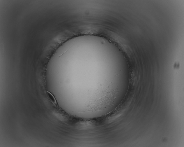 X0000096630307200802121053
