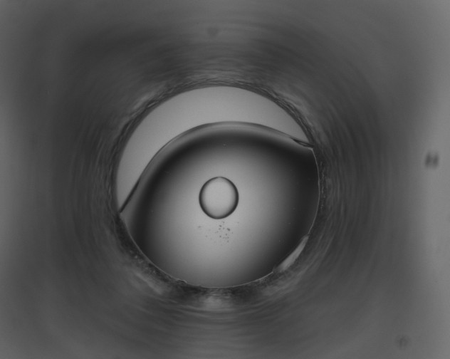X0000096630308200802121053