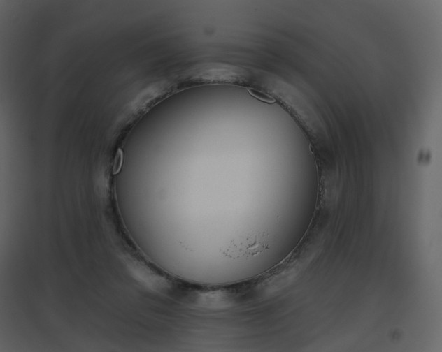 X0000096630309200802121053
