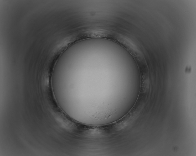 X0000096630310200802121053