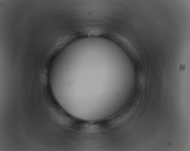 X0000096630311200802121053